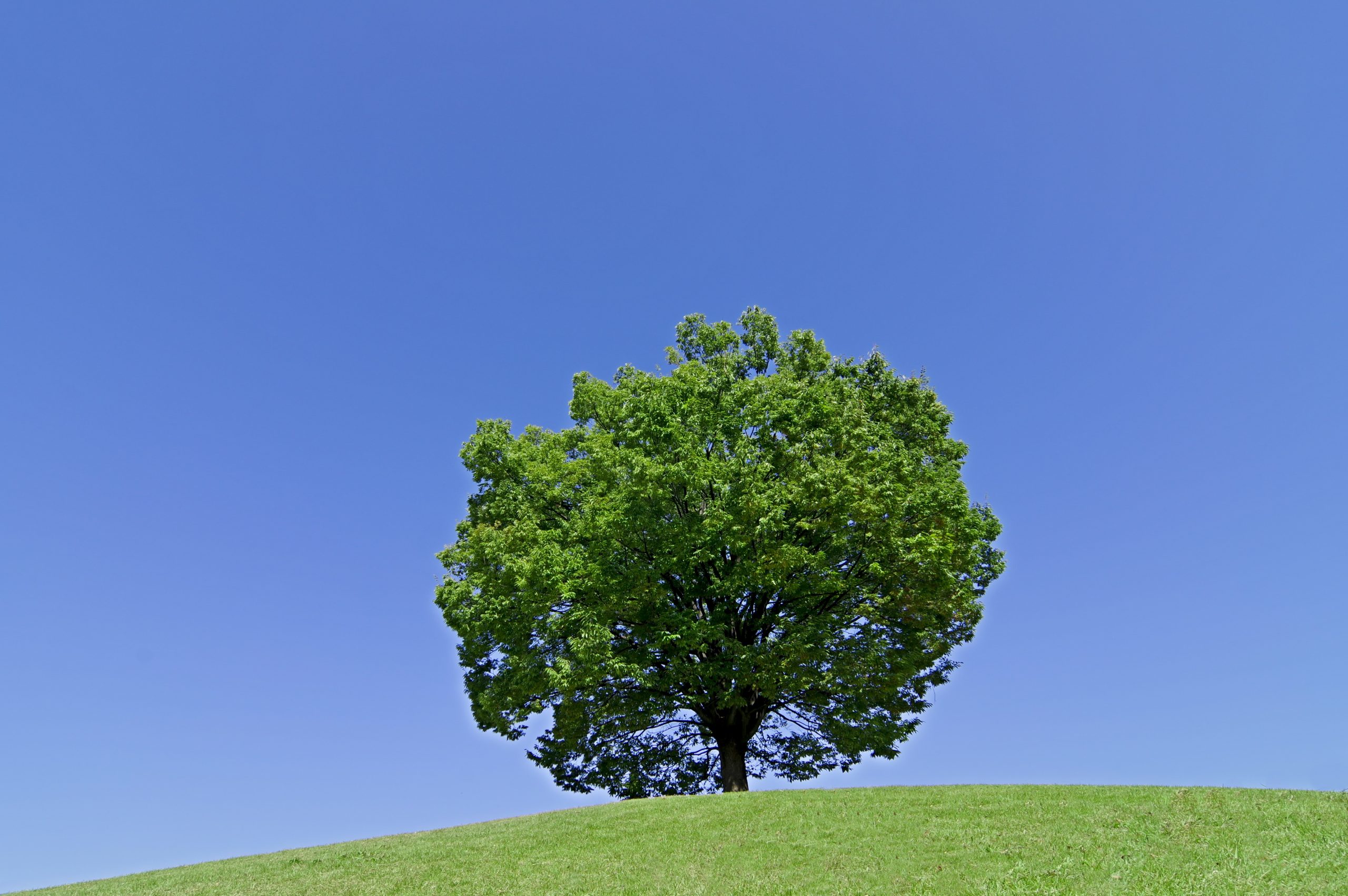 駅近、南向きで日当たり抜群-4