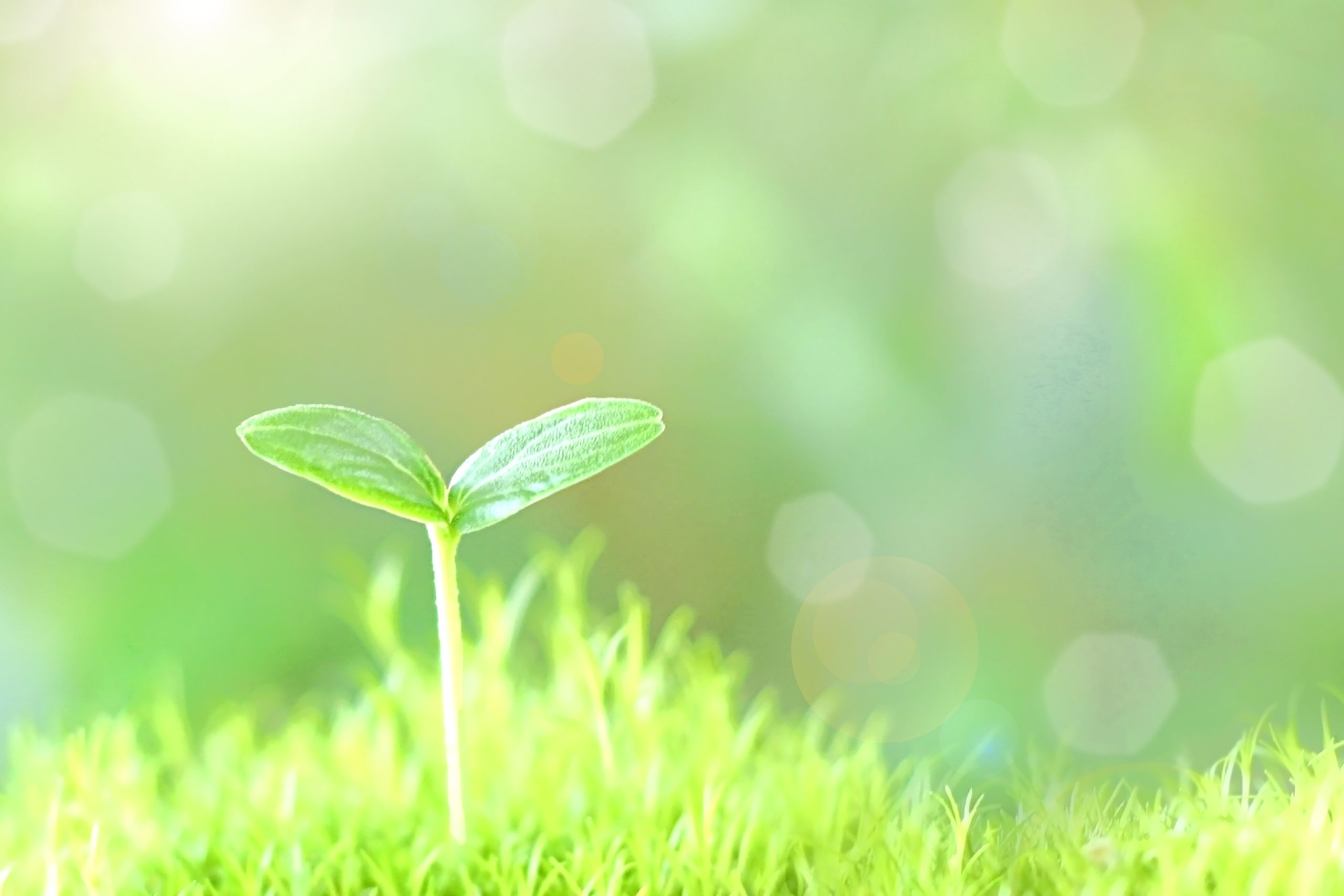 テスト03神奈川県小田原市田島中古一戸建て